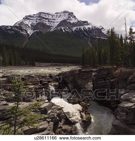 Stream near mountains in Jasper Alberta View Large Photo Image Stock Photograph - Stream near mountains in Jasper Alberta. Fotosearch