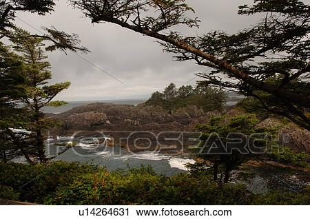 Broken Islands, Pacific Rim National Park, Vancouver Island, Canada View Large Photo Image Stock Image - Broken Islands, Pacific Rim National Park, Vancouver Island, Canada. Fotosearch