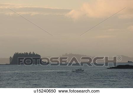 Broken Islands, Pacific Rim National Park, Vancouver Island, Canada View Large Photo Image Stock Image - Broken Islands, Pacific Rim National Park, Vancouver Island, Canada. Fotosearch