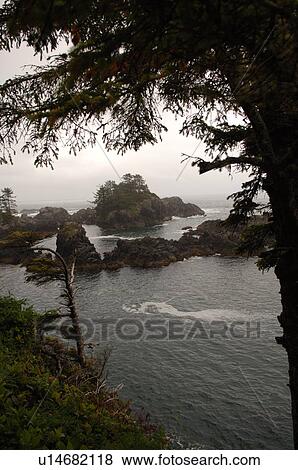 Broken Islands, Pacific Rim National Park, Vancouver Island, Canada View Large Photo Image Stock Photo - Broken Islands, Pacific Rim National Park, Vancouver Island, Canada. Fotosearch