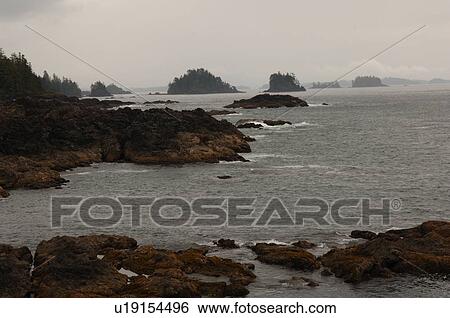 Broken Islands, Pacific Rim National Park, Vancouver Island, Canada View Large Photo Image Stock Photograph - Broken Islands, Pacific Rim National Park, Vancouver Island, Canada. Fotosearch