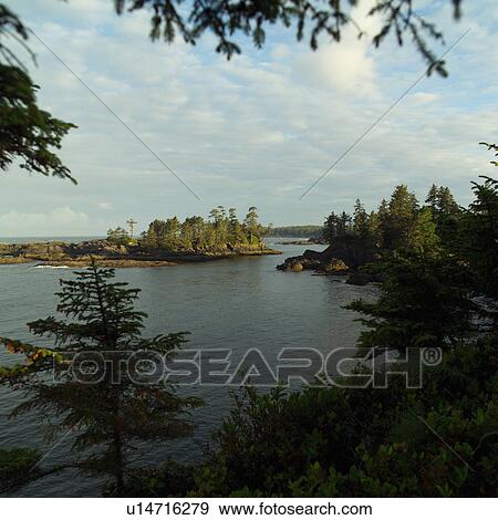 Broken Islands, Pacific Rim Park, Vancouver Island, Canada View Large Photo Image Stock Photo - Broken Islands, Pacific Rim Park, Vancouver Island, Canada. Fotosearch