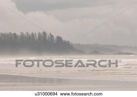 Picture - Long Beach, Pacific Rim National Park, Vancouver Island, Canada. Fotosearch