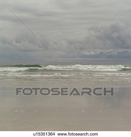 Long Beach, Pacific Rim Park, Vancouver Island, Canada View Large Photo Image Picture - Long Beach, Pacific Rim Park, Vancouver Island, Canada. Fotosearch