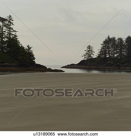 Low tide on beach, Pacific Rim National Park, Vancouver Island, Canada View Large Photo Image Stock Photography - Low tide on beach, Pacific Rim National Park, Vancouver Island, Canada. Fotosearch