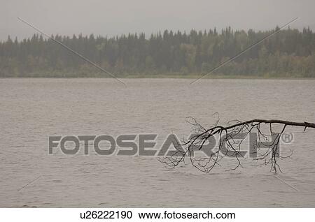 Stock Image - Mist over lake. Fotosearch