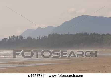Picture - Ocean shoreline, Pacific Rim National Park, Vancouver Island, Canada. Fotosearch