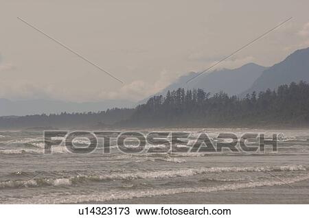 Ocean shoreline, Pacific Rim National Park, Vancouver Island, Canada View Large Photo Image Stock Image - Ocean shoreline, Pacific Rim National Park, Vancouver Island, Canada. Fotosearch