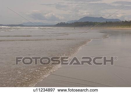 Ocean shoreline, Pacific Rim National Park, Vancouver Island, Canada View Large Photo Image Stock Photo - Ocean shoreline, Pacific Rim National Park, Vancouver Island, Canada. Fotosearch