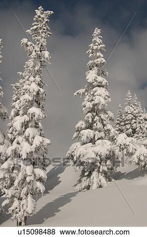 Stock Photo - Whistler, B. C. Canada. Fotosearch