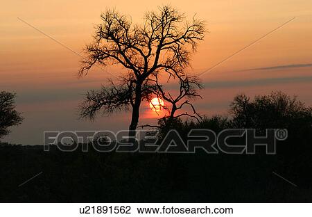 African Landscape View Large Photo Image Stock Image - African Landscape. Fotosearch