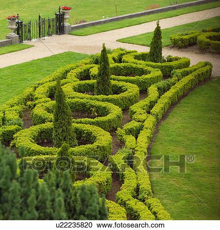 Garden Shrubs View Large Photo Image Stock Image - Garden Shrubs. Fotosearch
