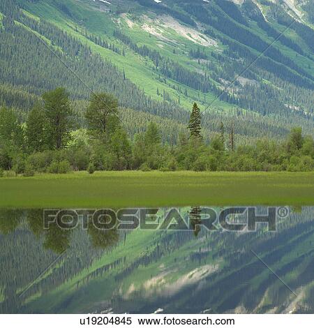 Green Landscape View Large Photo Image Stock Photography - Green Landscape. Fotosearch