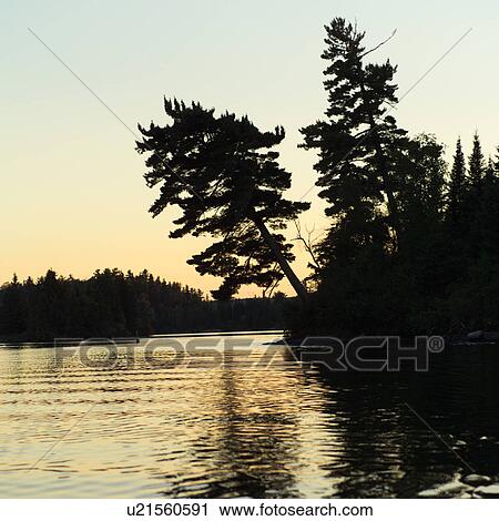 Stock Image - Lake of the Woods at Twilight. Fotosearch