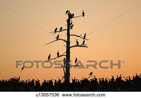 Stock Photograph - Lake Scenes. Fotosearch