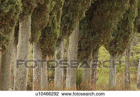 Stock Image - Landscapes. Fotosearch
