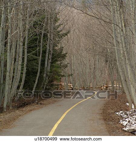 Nature trails in British Columbia. Canada View Large Photo Image Stock Photo - Nature trails in British Columbia. Canada. Fotosearch