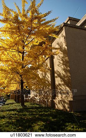 Stock Image - Oak Park in Chicago. Fotosearch