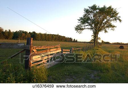 Rural area around Gimli, Manitoba View Large Photo Image Stock Photo - Rural area around Gimli, Manitoba. Fotosearch