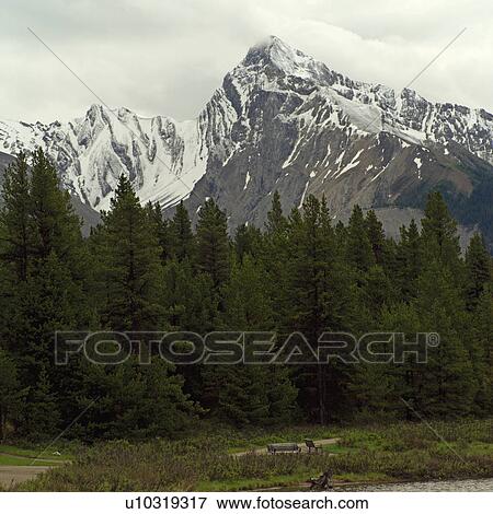 Trees Against Mountain View Large Photo Image Stock Photo - Trees Against Mountain. Fotosearch