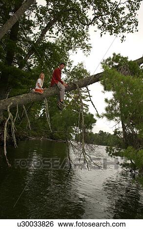 Two people sitting up on a tree branch View Large Photo Image Stock Photograph - Two people sitting up on a tree branch. Fotosearch