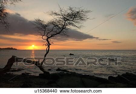 Big Island of Hawaii - sunset from beach View Large Photo Image Stock Image - Big Island of Hawaii - sunset from beach. Fotosearch