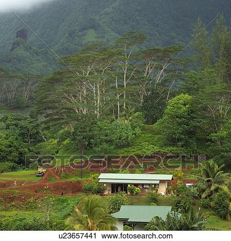 Isolated Building at Moorea in Tahiti View Large Photo Image Stock Image - Isolated Building at Moorea in Tahiti. Fotosearch