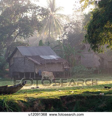 Livestock grazing in field View Large Photo Image Stock Photo - Livestock grazing in field. Fotosearch