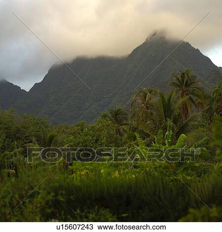 Stock Image - Moorea, Tahiti, Horizon View at Moorea Tahiti. Fotosearch