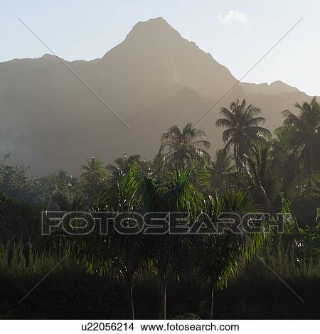 Picture - Mountains Terrain at Moorea in Tahiti. Fotosearch