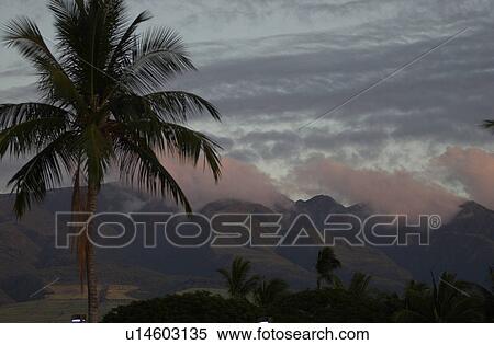 Stock Photography - Ocean View - Maui - Hawaiian Islands. Fotosearch