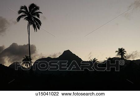 Stock Image - Panoramic view of hills, Moorea, Tahiti, French Polynesia, South Pacific. Fotosearch