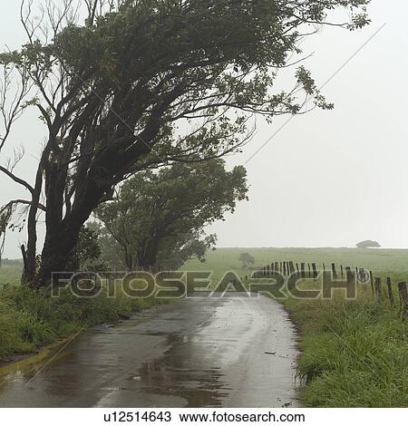 Tropical Landscape View Large Photo Image Stock Image - Tropical Landscape. Fotosearch