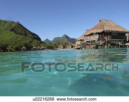 View of a beachside cafe, Moorea, Tahiti, French Polynesia, South Pacific View Large Photo Image Stock Photo - View of a beachside cafe, Moorea, Tahiti, French Polynesia, South Pacific. Fotosearch