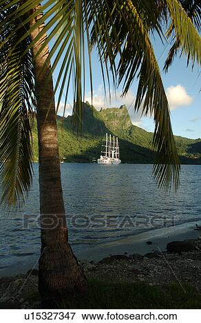 Stock Photo - View of the sea from a beach, Moorea, Tahiti, French Polynesia, South Pacific. Fotosearch