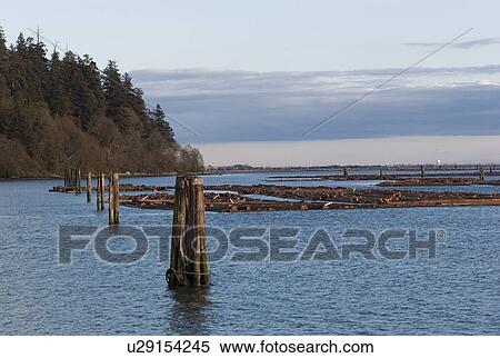 Stock Photography - Logs protuding from ocean along shoreline. Fotosearch