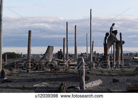 People climbing tree trunks View Large Photo Image Stock Photo - People climbing tree trunks. Fotosearch