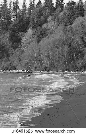Stock Photography - Sandy beach along Vancouver's shoreline. Fotosearch