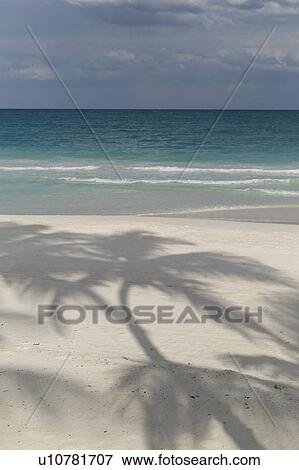 Shadow on beach in Tulum Mexico View Large Photo Image Stock Photo - Shadow on beach in Tulum Mexico. Fotosearch