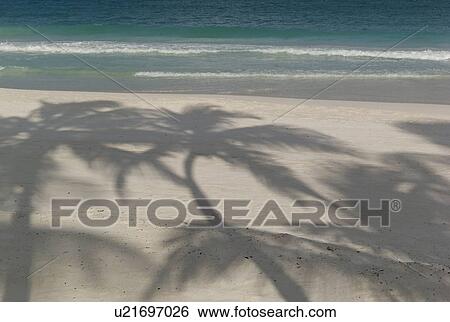 Shadow on beach in Tulum Mexico View Large Photo Image Stock Photograph - Shadow on beach in Tulum Mexico. Fotosearch