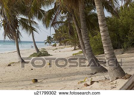 Stock Image - Shoreline in Tulum Mexico. Fotosearch