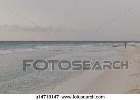 Stock Photo - Shoreline in Tulum Mexico. Fotosearch