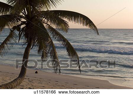 Shoreline in Tulum Mexico View Large Photo Image Stock Photograph - Shoreline in Tulum Mexico. Fotosearch