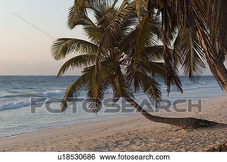 Shoreline in Tulum Mexico View Large Photo Image Stock Photograph - Shoreline in Tulum Mexico. Fotosearch