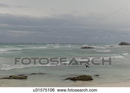 Shoreline in Tulum Mexico View Large Photo Image Stock Photograph - Shoreline in Tulum Mexico. Fotosearch