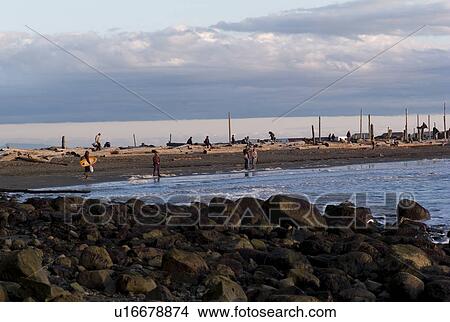 Picture - Vancouver shoreline. Fotosearch