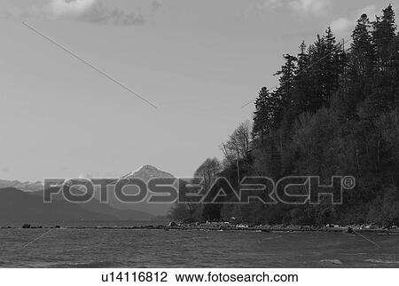 Vancouver shoreline View Large Photo Image Stock Image - Vancouver shoreline. Fotosearch