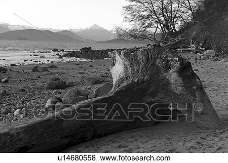 Stock Photo - Vancouver shoreline. Fotosearch