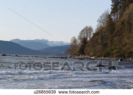 Vancouver shoreline View Large Photo Image Stock Photo - Vancouver shoreline. Fotosearch