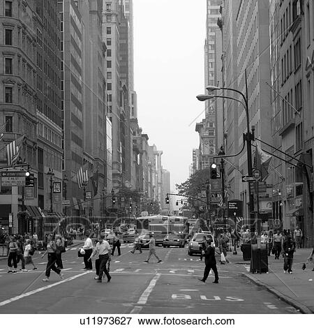 Pedestrians crossing street, New York City View Large Photo Image Stock Photo - Pedestrians crossing street, New York City. Fotosearch
